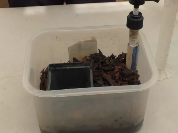 Experiment set up